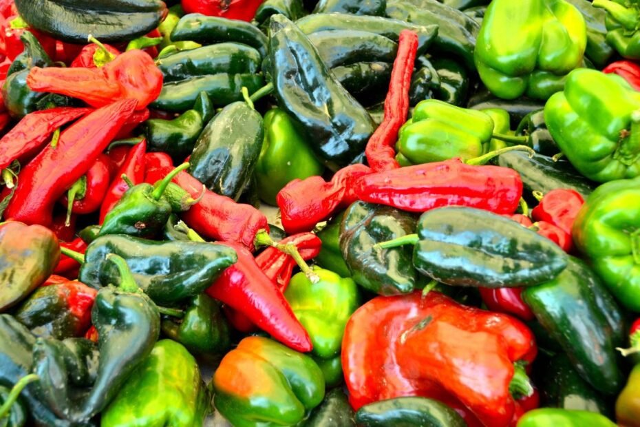 Papryczki chili – skarb ukryty w ogrodzie. Czy wiesz, co sprawia, że dobrze smakują?